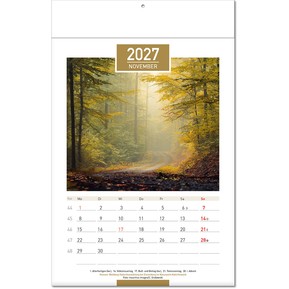 a_deutschland_falzel_11.jpg